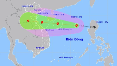 La tempête n° 5 Kajiki se forme dans la mer de l'Est, son intensité pourrait atteindre le niveau 12