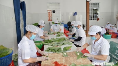 Solidarität und Kreativität bringen Vinh Binh nachhaltige Entwicklung
