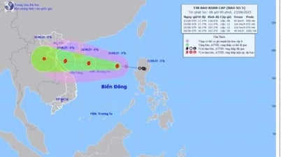 熱帯低気圧は勢力を強めて、国際的には「カジキ」と名付けられた第5号の嵐となった。
