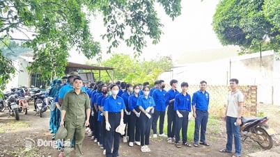 뎅기열 확산, 각 지자체 방역 캠페인 본격화