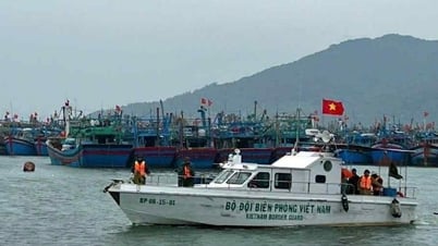 Der Grenzschutz der Stadt Da Nang reagiert proaktiv auf Sturm Nr. 5
