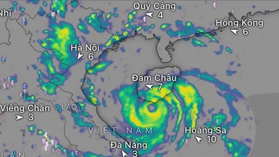Storm No. 5 has reached hurricane level.