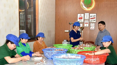 Nâng tầm giá trị dược liệu thành sản phẩm OCOP