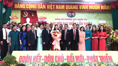 Phường Quy Nhơn Tây đẩy mạnh chuyển dịch cơ cấu kinh tế để phát triển nhanh và bền vững