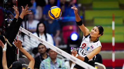 Programme en direct du Championnat du monde de volley-ball féminin du 24 août