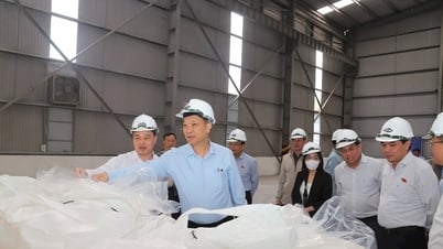 Nhôm Lâm Đồng vượt khó, vươn mình