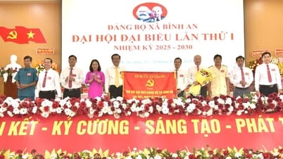 ប្តេជ្ញា​កសាង Binh An ឱ្យ​ក្លាយជា​តំបន់​ទីក្រុង​លំដាប់ V