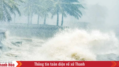 From early morning of August 25, coastal waters of Thanh Hoa had gusts of wind at level 11-12.