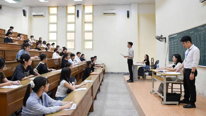 Der höchste Benchmark-Score der Hanoi National University of Education beträgt 29,06 Punkte.