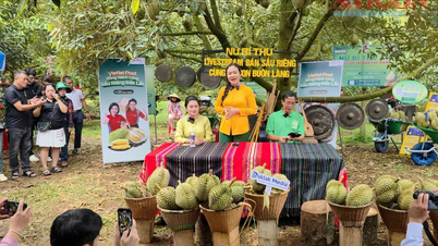 Gemeindesekretärin in Dak Lak geht direkt auf Sendung, um Durian an die Leute zu verkaufen