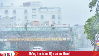 Starkregenwarnung im Gebiet Thanh Hoa, konzentriert auf den 25. August