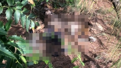 ファン・リ・クアの海岸で遺体が発見された