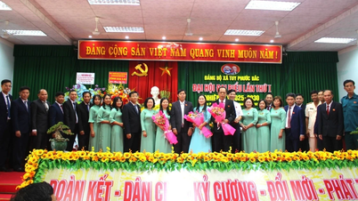 Tuy Phuoc Bac s'efforce de devenir une nouvelle commune rurale moderne et riche en identité