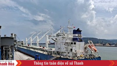 ผลิตภัณฑ์อุตสาหกรรม Thanh Hoa ยังคงขยายไปอย่างกว้างขวาง