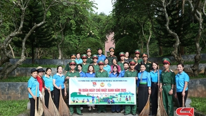 Launching Green Sunday 2025