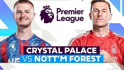 Spielbericht Crystal Palace vs. Nottingham, 24. August, 20:00 Uhr: Der 11. Albtraum