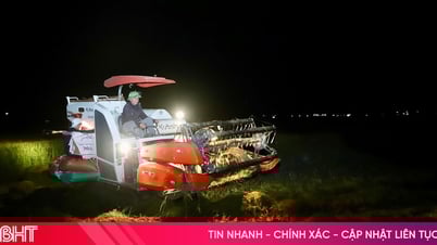 កសិករ​ខេត្ត Ha Tinh ច្រូត​ស្រូវ​ទាំង​កណ្តាល​អធ្រាត្រ​ដល់​ព្យុះ​លេខ​៥