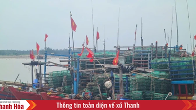 6.537 phương tiện tàu thuyền đã vào nơi tránh, trú an toàn