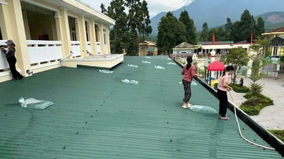 Giáo viên mầm non ở Huế trèo lên mái tôn, chằng chống trước bão số 5