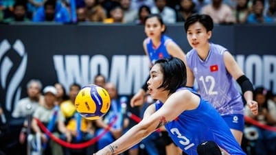 El equipo femenino de voleibol de Vietnam no puede sorprender a los tres mejores equipos del mundo