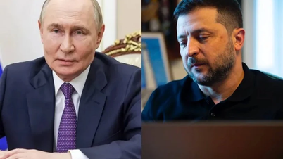 Ukraine nói ông Zelensky sẵn sàng thảo luận về lãnh thổ với Tổng thống Putin