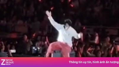 ドゥオン・トン・ヴィの舞台上での恐ろしい事件