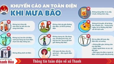 អ្វីដែលត្រូវធ្វើភ្លាមៗមុនពេលព្យុះទី 5 បោកបក់