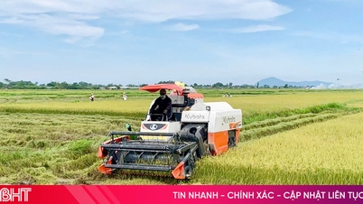 Hà Tĩnh trích 6,9 tỷ đồng hỗ trợ các địa phương phòng chống bão số 5