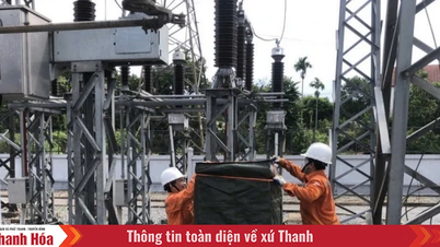 សាជីវកម្មថាមពលភាគខាងជើងពិនិត្យការឆ្លើយតបទៅនឹងព្យុះទី 5 នៅ Thanh Hoa, Nghe An, Ha Tinh