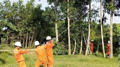 中央電力セクター、嵐第5号への緊急対応を展開