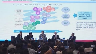Las empresas vietnamitas se enfrentan al muro arancelario estadounidense