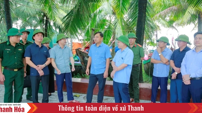 Thứ trưởng Bộ NN&MT kiểm tra công tác ứng phó với bão số 5 tại Thanh Hóa