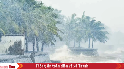 ព្យុះ​លេខ​៥​រក្សា​ទិសដៅ​ចលនា តំបន់​សមុទ្រ Thanh Hoa មាន​រលក​ខ្ពស់​ពី​៥​ទៅ​៧​ម៉ែត្រ