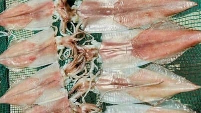 Mực, cá thu một nắng giữ vị ngon, tránh mua lầm