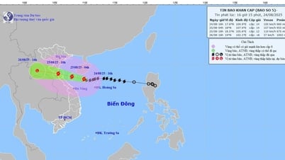 Lâm Đồng chủ động ứng phó cơn bão số 5 (bão Kajiki)