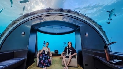 Viet Huong and her husband spend 400 million VND/night to celebrate their wedding anniversary at the bottom of the sea