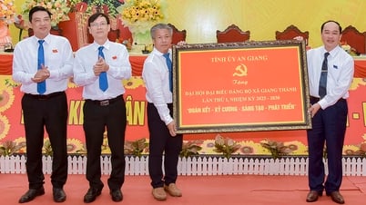 លោកវរសេនីយ៍ឯក Nguyen Van Nganh បានចូលរួម និងដឹកនាំមហាសន្និបាតបក្សឃុំ Giang Thanh។