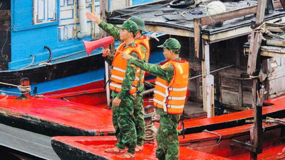 Einsatz des Forward Command Committee zur Reaktion auf Sturm Nr. 5 in Nghe An
