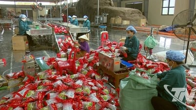 Động lực thúc đẩy tăng trưởng công nghiệp nông thôn