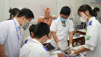 ตรวจสอบคะแนนมาตรฐานของนักศึกษาสาขาสาธารณสุขในมหาวิทยาลัยทั่วประเทศ