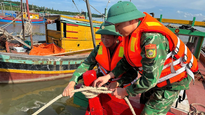 Ministry of National Defense directs agencies and units to urgently respond to storm No. 5