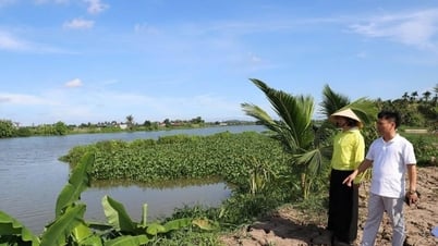 Bemühungen zum Schutz der Wasserressourcen des Da Do-Flusses
