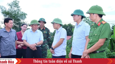 អនុប្រធានអចិន្ត្រៃយ៍នៃគណៈកម្មាធិការប្រជាជនខេត្ត Nguyen Van Thi បានចុះត្រួតពិនិត្យការងារទប់ទល់នឹងព្យុះនៅឃុំ Kim Tan។