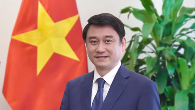 Nâng cao năng lực số, kiến thức số, kỹ năng số, đẩy nhanh tiến trình hiện đại hóa nền ngoại giao