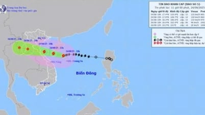 今夜（8月24日）から8月26日の終わりまで、ゲアン省では大雨から非常に激しい雨が降ると予想されており、平年降雨量は200～400mm、局地的には600mmを超える見込みです。