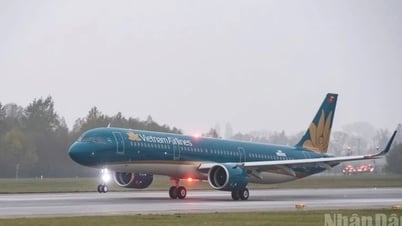 台風5号の影響で多くの航空便が欠航（加治木）