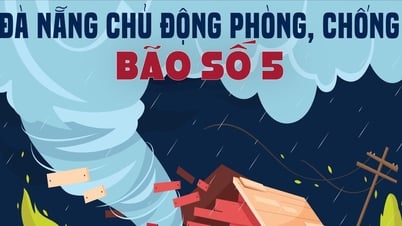ダナン市、嵐5号の予防と対策に積極的に取り組む