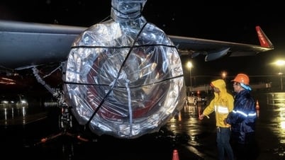 Aufgrund der Auswirkungen von Sturm Nr. 5 werden zwei Flughäfen vorübergehend geschlossen und viele Flüge gestrichen.