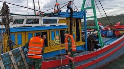 Dak Lak: Die Grenzschutzstation Xuan Hoa verhindert proaktiv ...