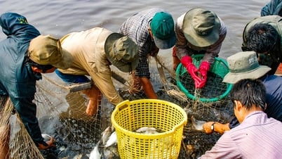 Saison de pêche sur la rivière La Nga
